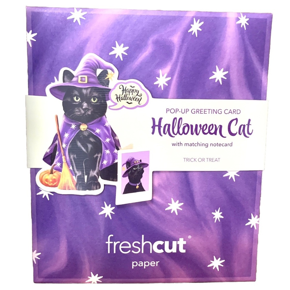 Pop up Greeting Cards 3D Halloween Black Cat In Witch Costume Popup Holiday Gift